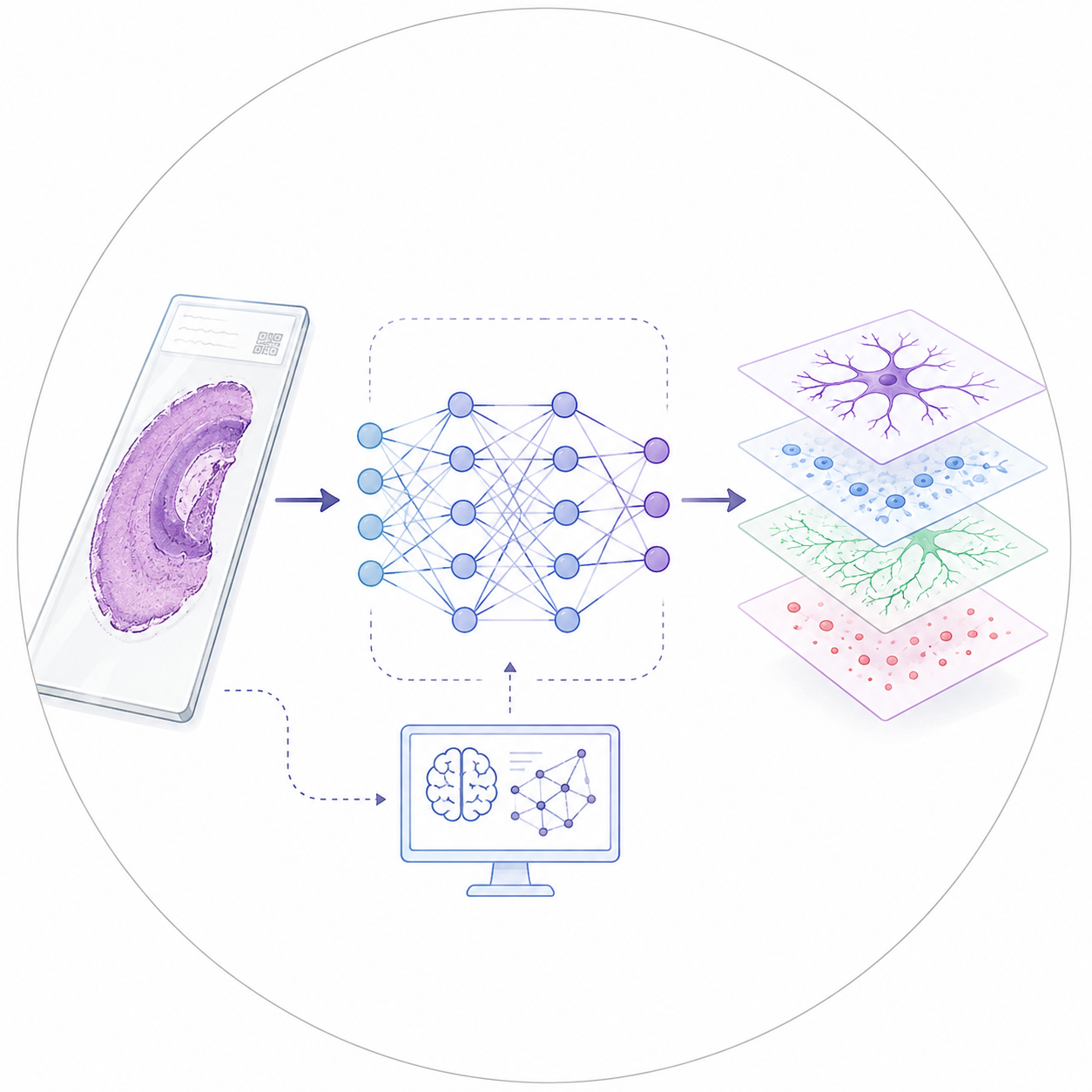 Computational neuroscience research image